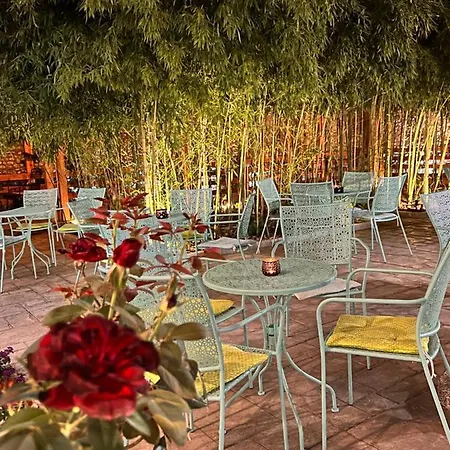 Hotel Treva 3*