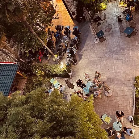 Hotel Treva 3*