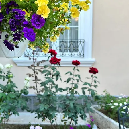 Treva Hotel Shkoder