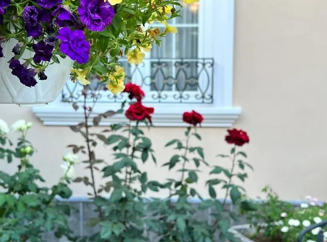 Treva Hotel Shkodër